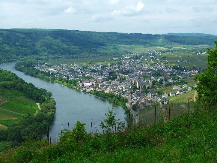Mosel Riesling: the finest white wines are also exceptional for investment