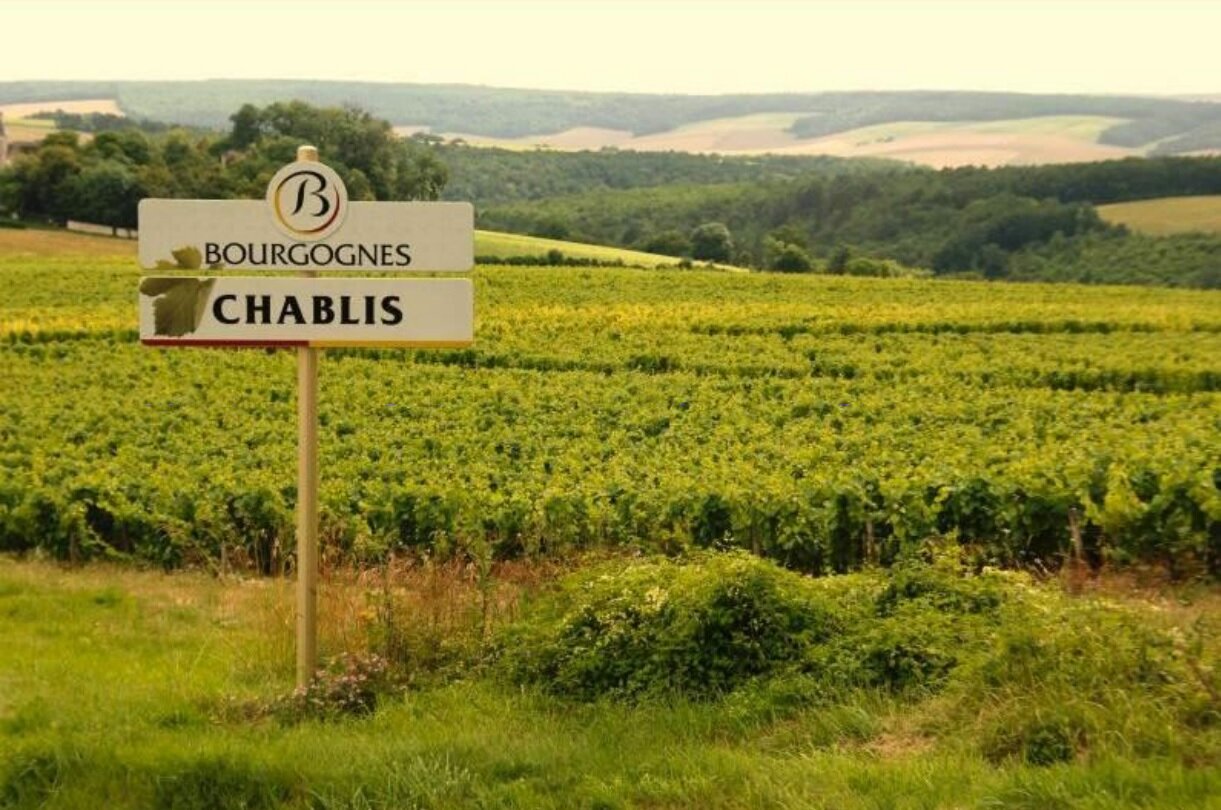 The fine Chardonnay wines from Burgundy: an overview of Chablis, Puligny, Chassagne-Montrachet, and Meursault