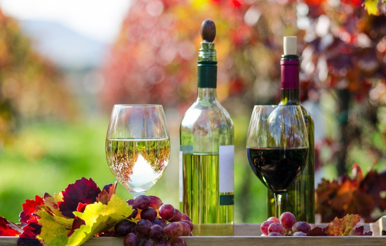 Wine styles you might want to try this autumn