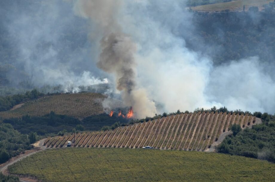 How winemakers are coping with wildfires – and smoke taint