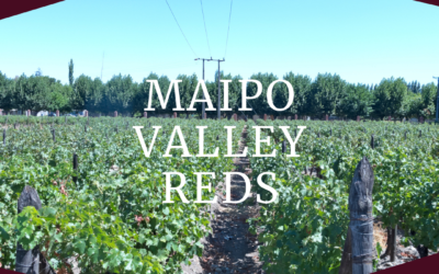 Maipo Valley Reds